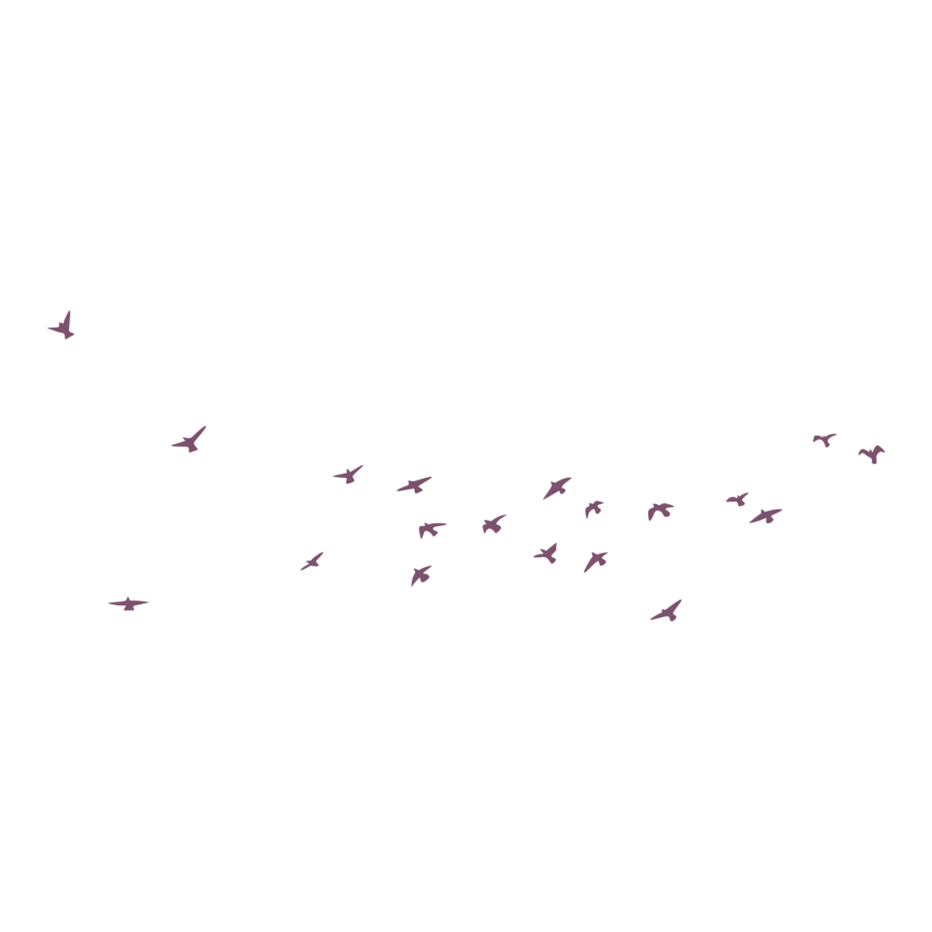 Vögel